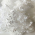 Virgin HCS Polyester Staple Fiber For Stuffing 7D